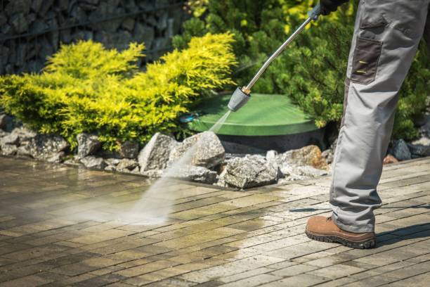 Best Sign and Awning Cleaning  in Immokalee, FL