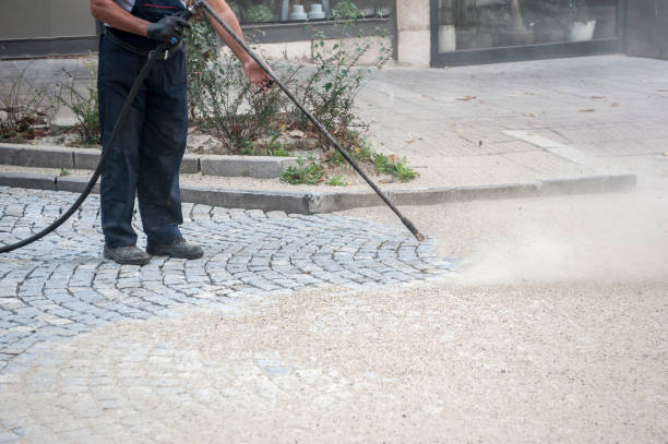 Best Roof Washing  in Immokalee, FL